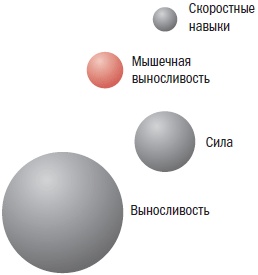 Библия велосипедиста Библия велосипедиста