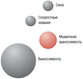Библия велосипедиста Библия велосипедиста