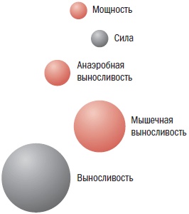 Библия велосипедиста Библия велосипедиста