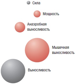 Библия велосипедиста Библия велосипедиста