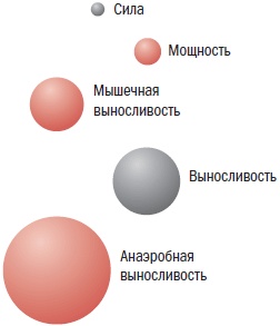 Библия велосипедиста Библия велосипедиста