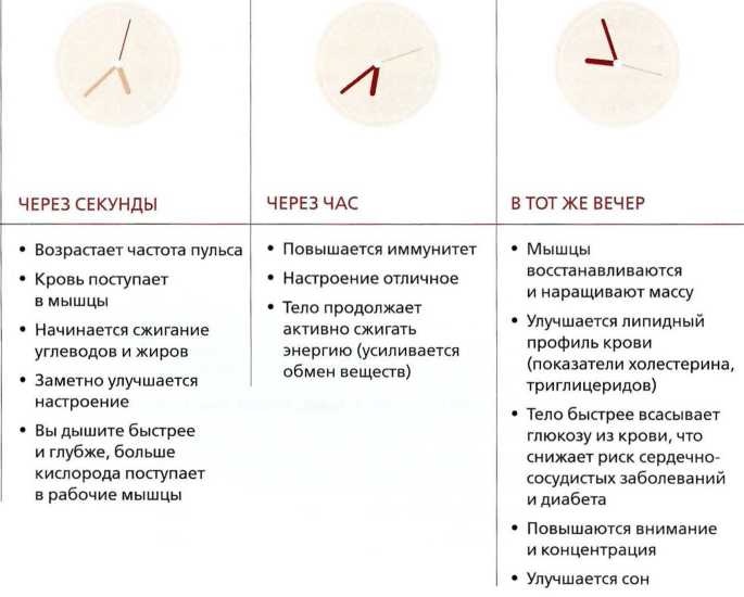 Книга о теле Книга о теле