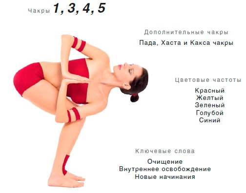 Энергетика йоги. Практический курс Энергетика йоги. Практический курс