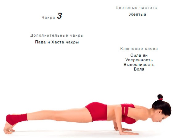Энергетика йоги. Практический курс Энергетика йоги. Практический курс