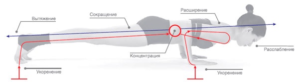 Энергетика йоги. Практический курс Энергетика йоги. Практический курс
