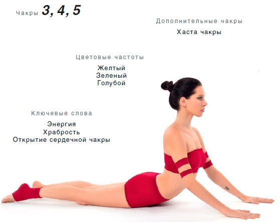 Энергетика йоги. Практический курс Энергетика йоги. Практический курс