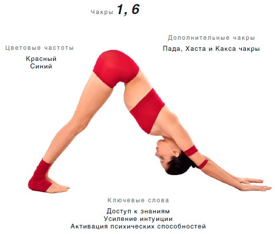 Энергетика йоги. Практический курс Энергетика йоги. Практический курс