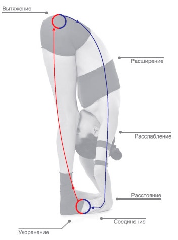 Энергетика йоги. Практический курс Энергетика йоги. Практический курс