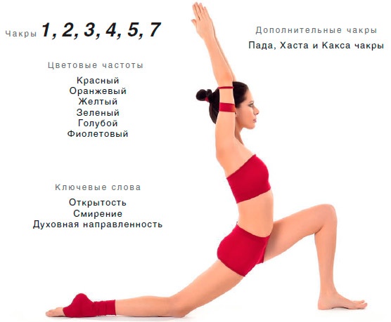 Энергетика йоги. Практический курс Энергетика йоги. Практический курс