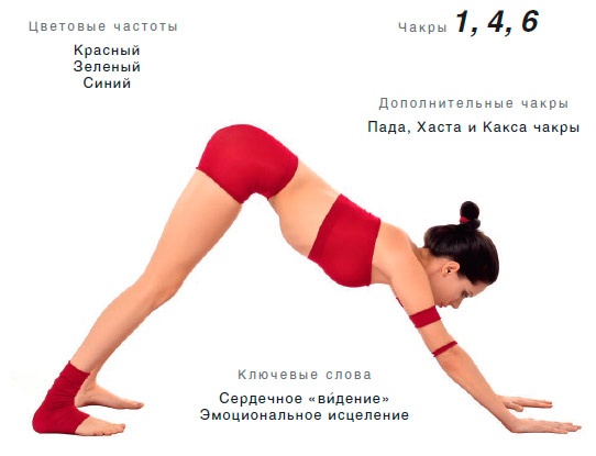 Энергетика йоги. Практический курс Энергетика йоги. Практический курс