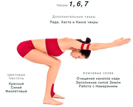 Энергетика йоги. Практический курс Энергетика йоги. Практический курс