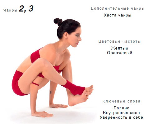 Энергетика йоги. Практический курс Энергетика йоги. Практический курс
