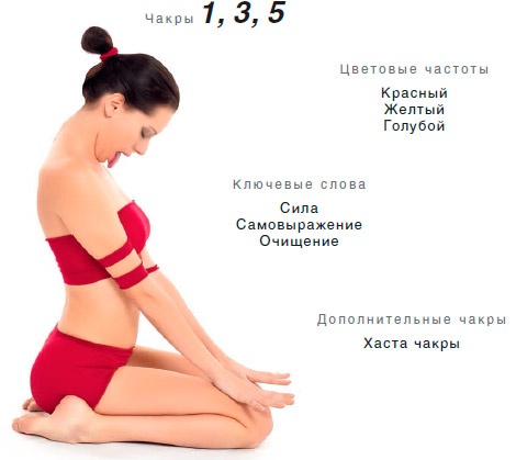 Энергетика йоги. Практический курс Энергетика йоги. Практический курс