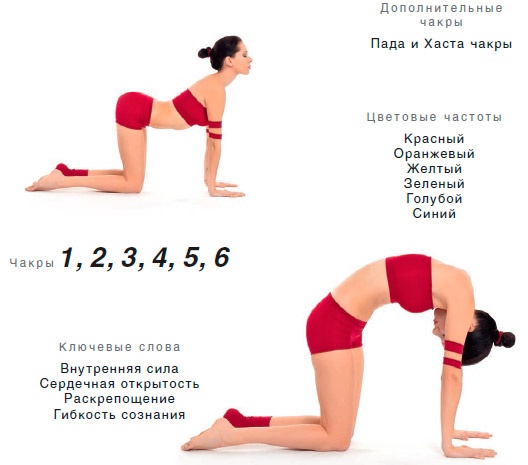 Энергетика йоги. Практический курс Энергетика йоги. Практический курс