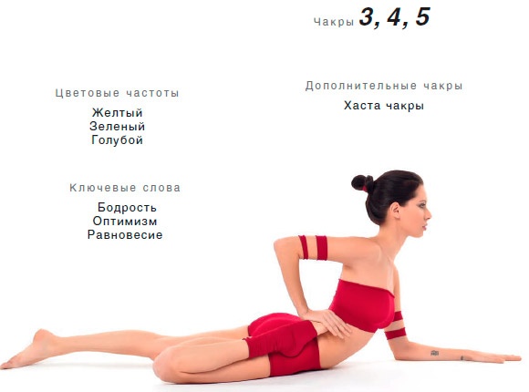 Энергетика йоги. Практический курс Энергетика йоги. Практический курс