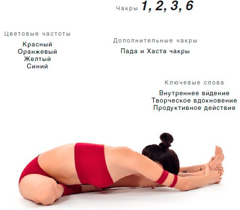 Энергетика йоги. Практический курс Энергетика йоги. Практический курс