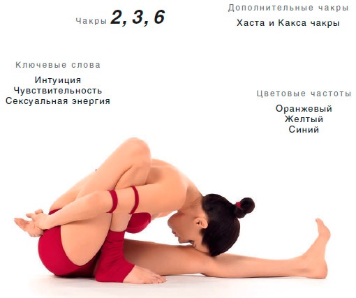 Энергетика йоги. Практический курс Энергетика йоги. Практический курс