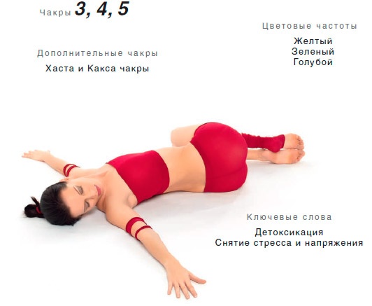 Энергетика йоги. Практический курс Энергетика йоги. Практический курс
