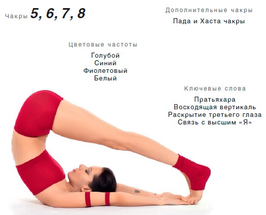 Энергетика йоги. Практический курс Энергетика йоги. Практический курс