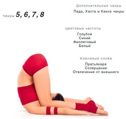 Энергетика йоги. Практический курс Энергетика йоги. Практический курс