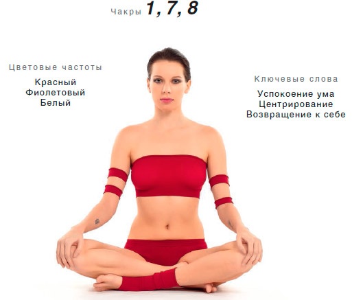 Энергетика йоги. Практический курс Энергетика йоги. Практический курс