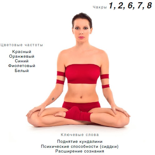 Энергетика йоги. Практический курс Энергетика йоги. Практический курс