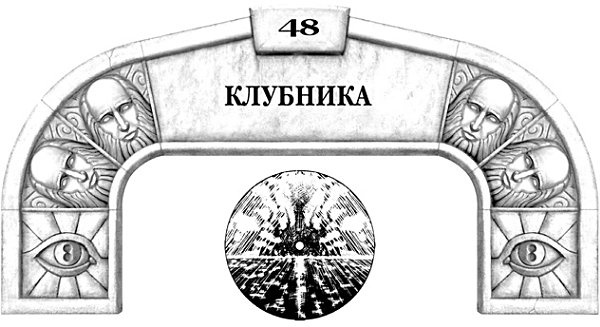 Архив Буресвета. Книга 1. Путь королей