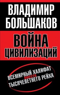 Война цивилизаций. Всемирный халифат вместо тысячелетнего рейха - Владимир Большаков