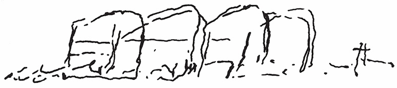 Видения Коди Видения Коди