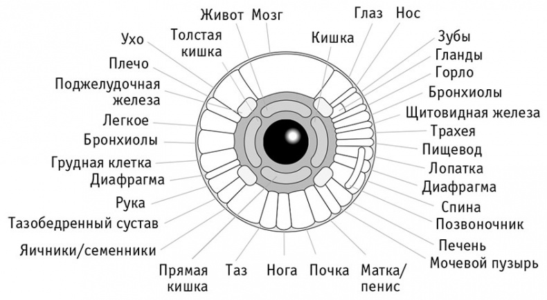 Пациент Разумный. Ловушки "врачебной" диагностики, о которых должен знать каждый Пациент Разумный. Ловушки "врачебной" диагностики, о которых должен знать каждый