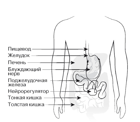 Европейское исследование. Бады, витамины, ГМО, биопродукты Европейское исследование. Бады, витамины, ГМО, биопродукты