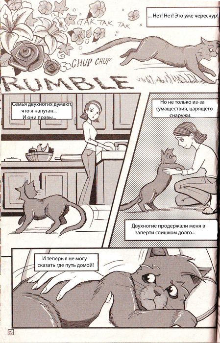 Манга «Потеряный воин» Манга «Потеряный воин»