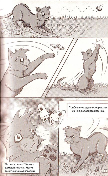 Манга «Потеряный воин» Манга «Потеряный воин»