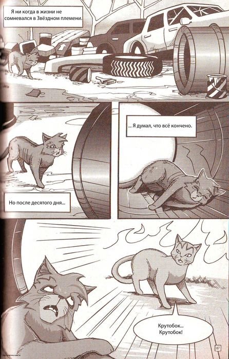 Манга «Потеряный воин» Манга «Потеряный воин»