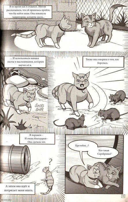 Манга «Потеряный воин» Манга «Потеряный воин»