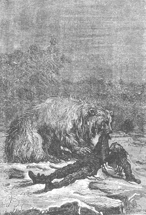 В стране мехов В стране мехов
