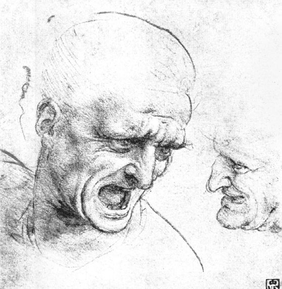 Леонардо да Винчи. Загадки гения Леонардо да Винчи. Загадки гения