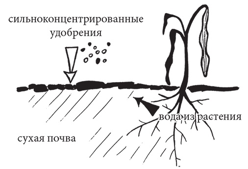 Самая полезная настольная книга садовода и огородника Самая полезная настольная книга садовода и огородника