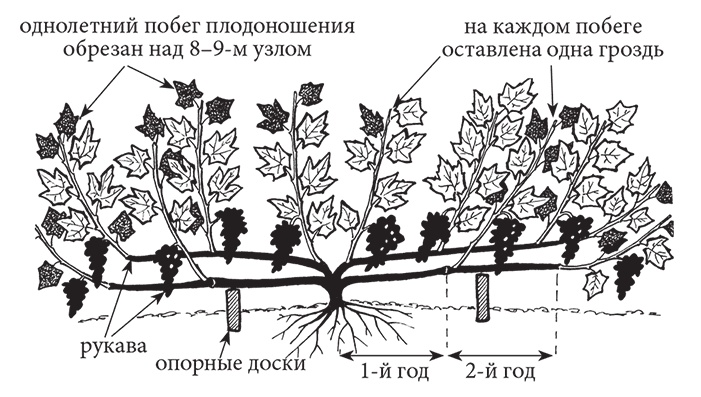 Самая полезная настольная книга садовода и огородника Самая полезная настольная книга садовода и огородника