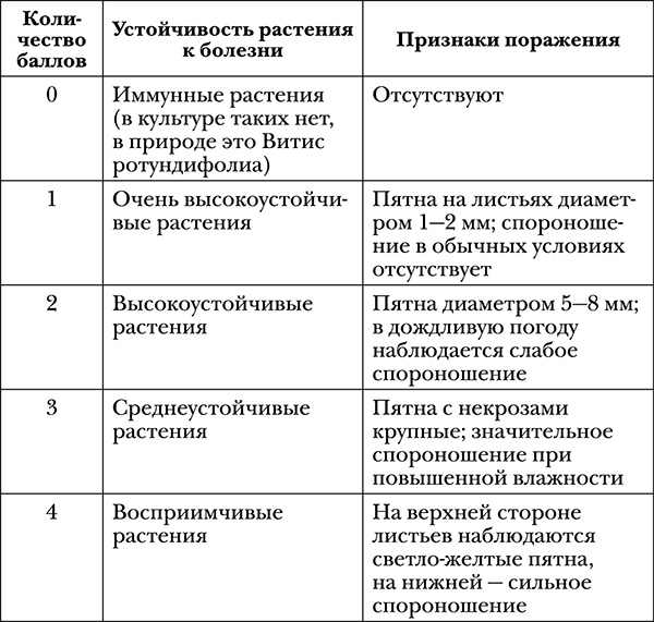 Виноград на вашей даче. Растет не только на юге! Виноград на вашей даче. Растет не только на юге!