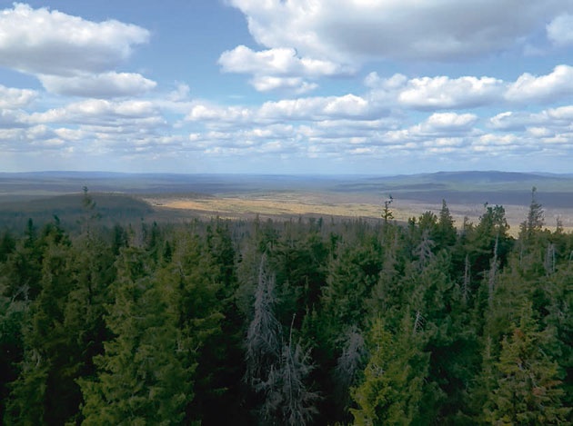 В глуши таёжной (сборник) В глуши таёжной (сборник)