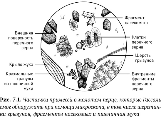 Состав. Как нас обманывают производители продуктов питания Состав. Как нас обманывают производители продуктов питания