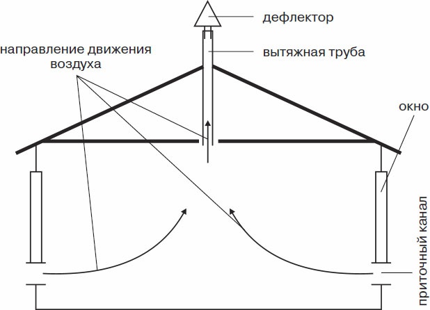 Кролиководство для начинающих Кролиководство для начинающих