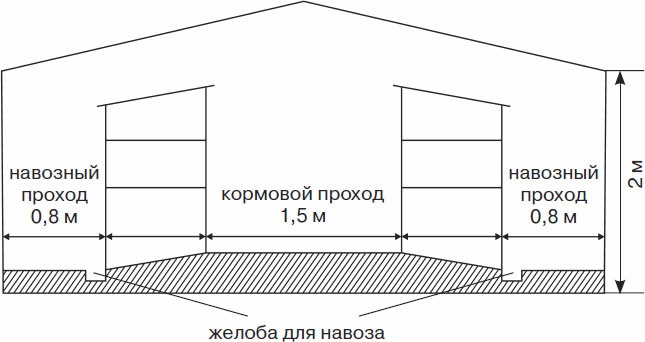 Кролиководство для начинающих Кролиководство для начинающих