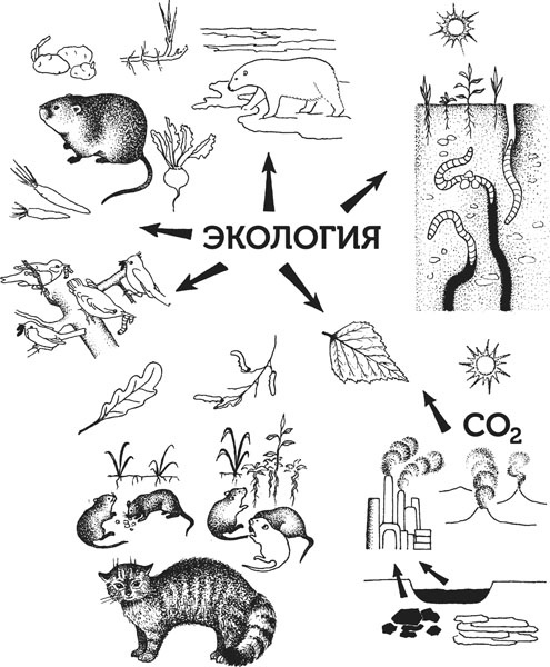 Нескучная биология Нескучная биология
