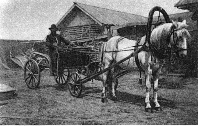 1917. Российская империя. Падение 1917. Российская империя. Падение