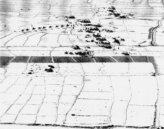 КГБ в Афганистане КГБ в Афганистане