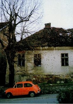Последний окножираф Последний окножираф