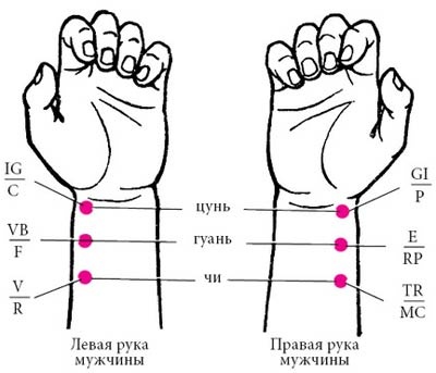 Целительные точки нашего тела Целительные точки нашего тела