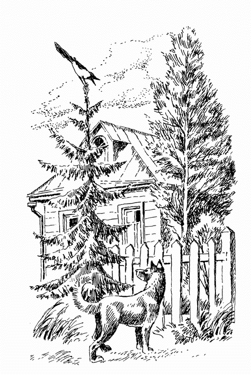 Кладовая солнца. Рассказы о природе Кладовая солнца. Рассказы о природе